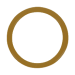 Ring PMS 7504 outline
